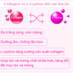 Vien uong Feelex Collagen 8